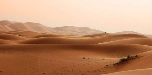 Nel Deserto Diamond Painting