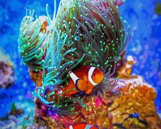 Nemo Il Pesce Diamond Painting