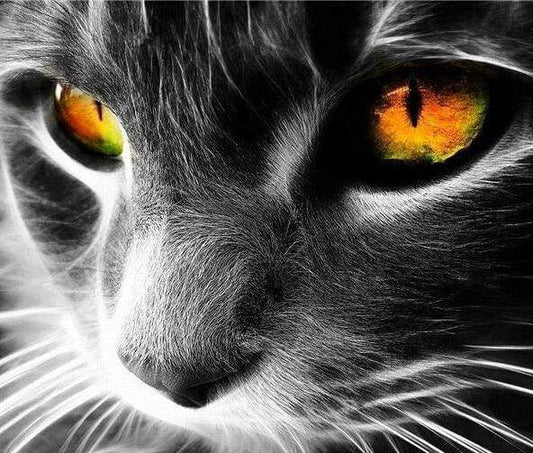 Occhi Di Gatto Diamond Painting