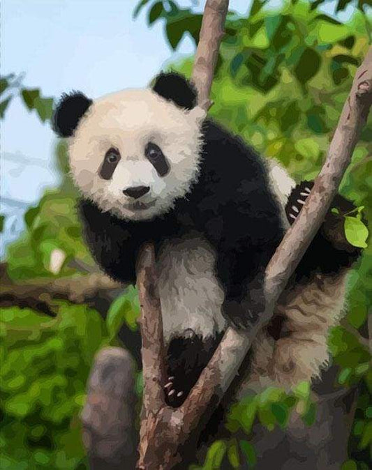 Panda Sull'Albero Diamond Painting