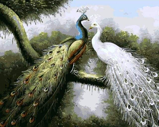 Pavoni Amorevoli Diamond Painting