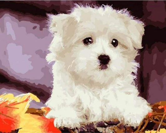 Piccolo Cane Bianco Diamond Painting