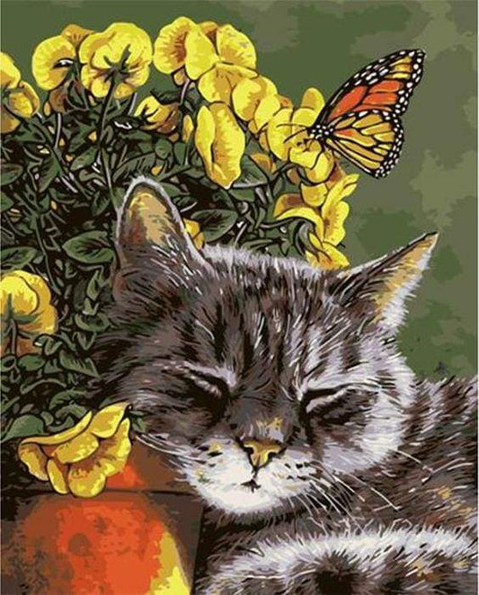 Piccolo Gatto E Farfalla Diamond Painting