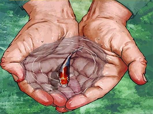 Piccolo Pesce Diamond Painting kit diamond painting