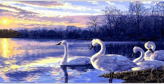 Quattro Cigni Diamond Painting