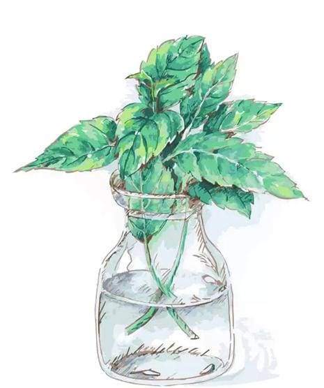 Recidere I Fiori Diamond Painting