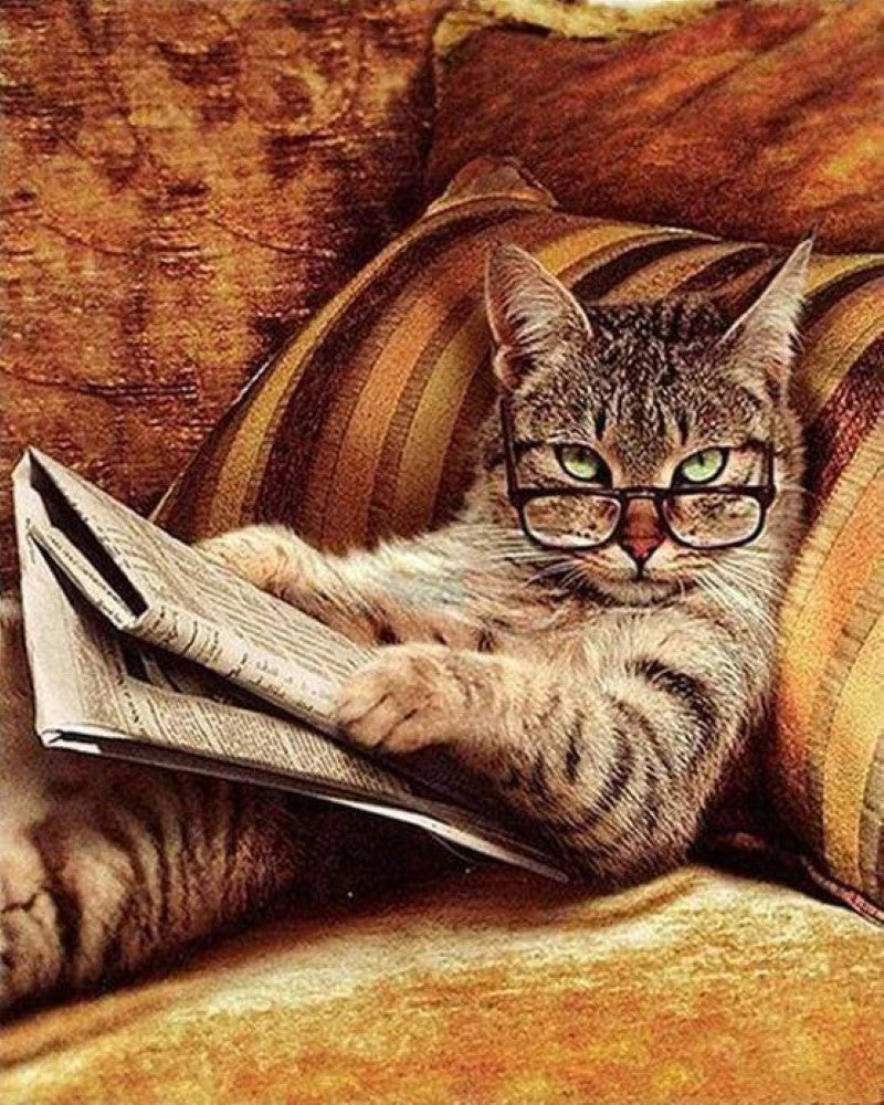 Ricamo a Punto Croce - Non Scherzare Con Questo Gatto Diamond Painting | Seos Shop ®