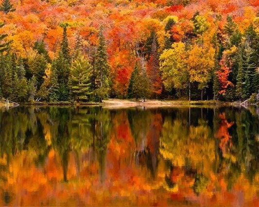 Riflessi Sul Lago In Autunno Diamond Painting