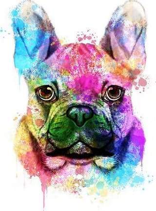 Ritratto Di Cane A Colori Diamond Painting