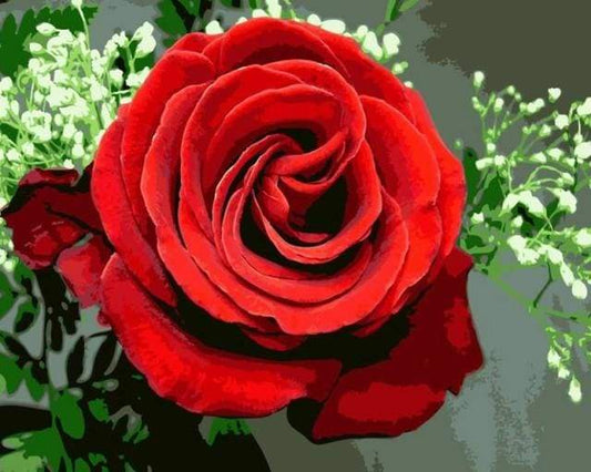 Rosa Rossa Diamond Painting kit diamond painting