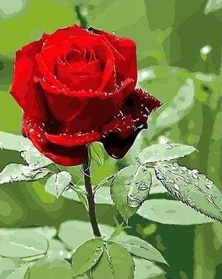 Rosa Rossa E Goccia D'Acqua Diamond Painting