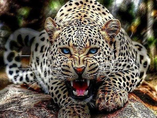 Ruggito Della Mamma Leopardo Diamond Painting
