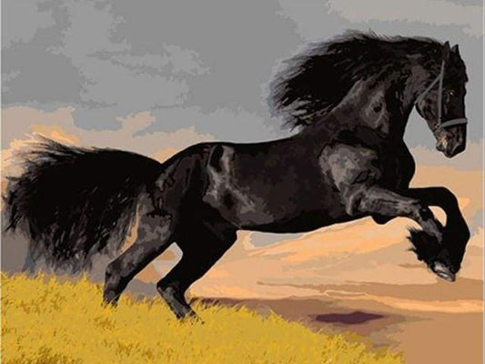 Stallone Nero Diamond Painting