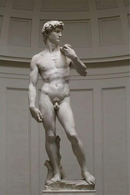 Statua Dell'Uomo Diamond Painting