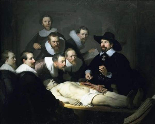 Studio Del Corpo Umano Diamond Painting