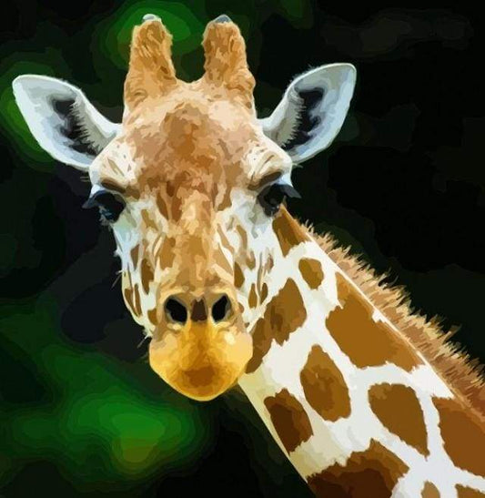 Testa E Collo Di Giraffa Diamond Painting