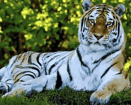 Tigre Che Si Rilassa Diamond Painting