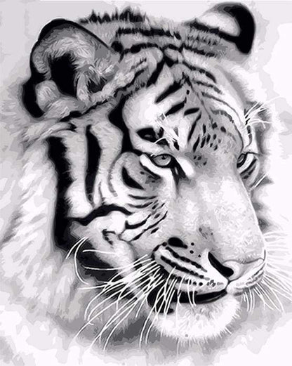 Tigre Siberiana Diamond Painting | Seos Shop ®