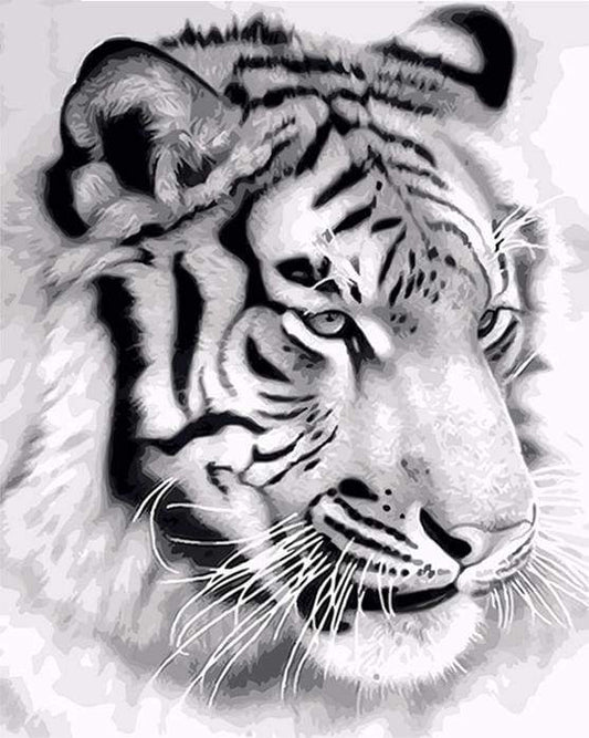 Tigre Siberiana Diamond Painting kit diamond painting