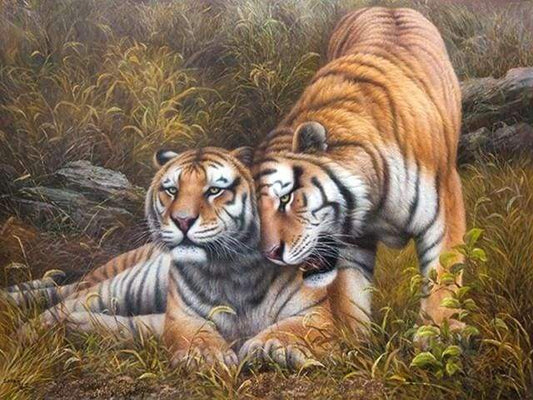 Tigri Amorevoli Diamond Painting