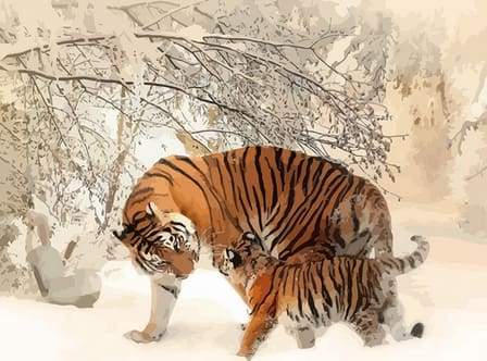 Tigri Durante L'Inverno Diamond Painting