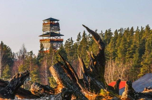 Torre Nella Foresta Diamond Painting