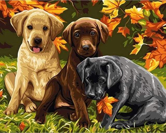 Tre Cani Diamond Painting