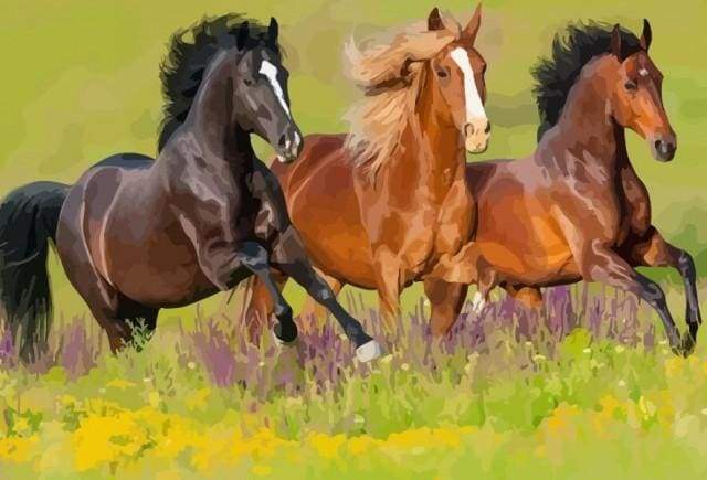 Tre Cavalli Al Galoppo Diamond Painting