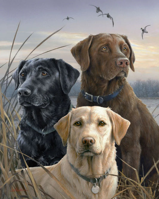 Trio di Labrador Diamond Painting | Seos Shop ®