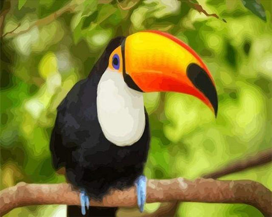 Tucano Diamond Painting