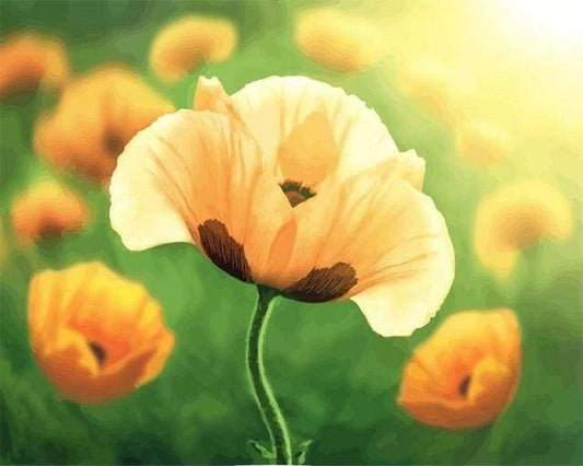 Tulipani In Piena Fioritura Diamond Painting