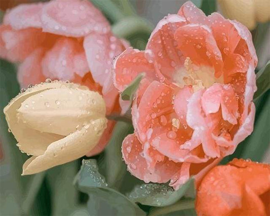 Tulipano Con Gocce Di Rugiada Diamond Painting