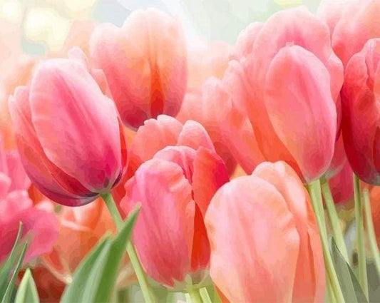 Tulipano Diamond Painting