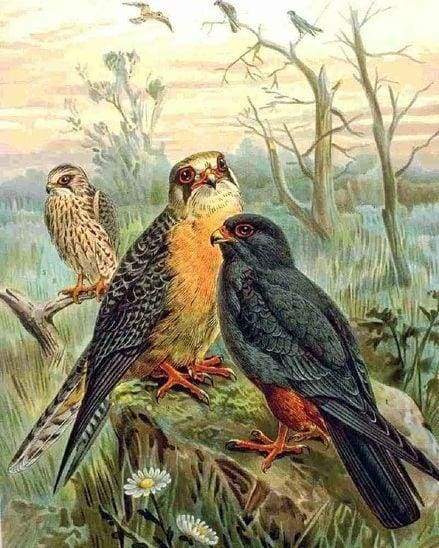 Saturno E Romanticismo Diamond Painting