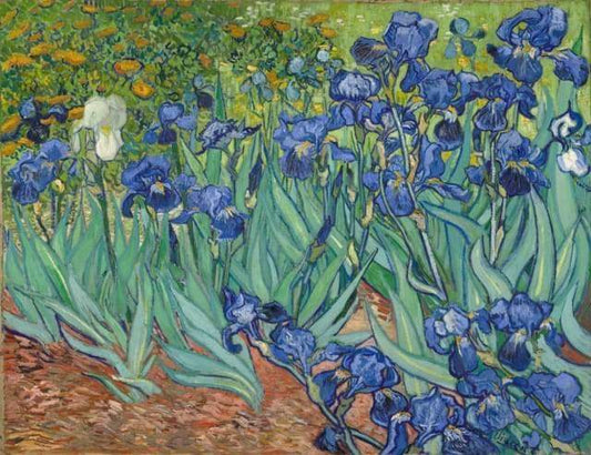 Van Gogh campo di Iris Diamond Painting
