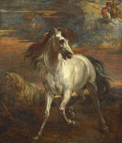 Vecchio Cavallo Diamond Painting
