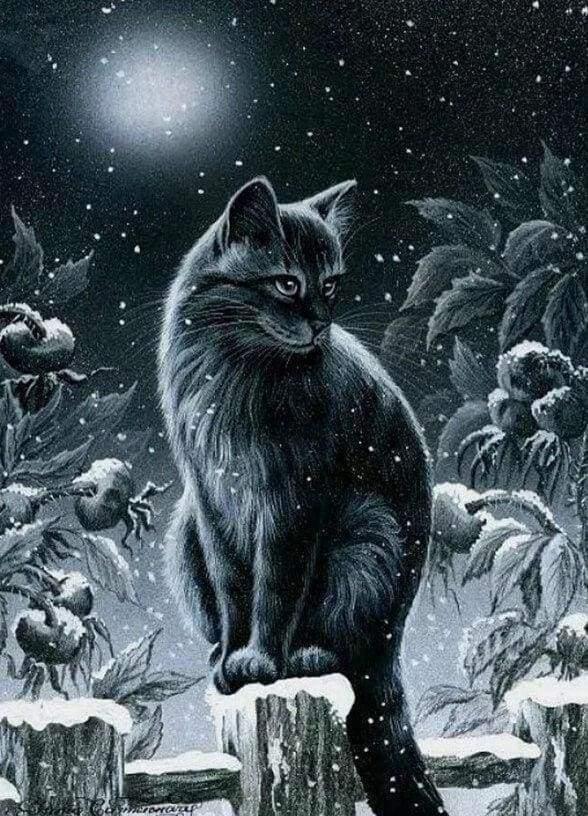 Diamond Painting Cat in the Snow - Diamond Painting Italia