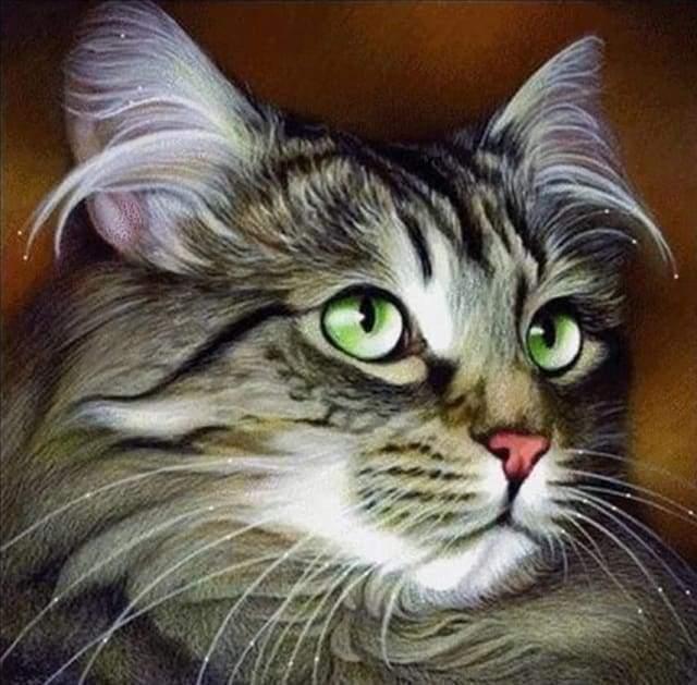 Diamond Painting Cat Portrait - Diamond Painting Italia