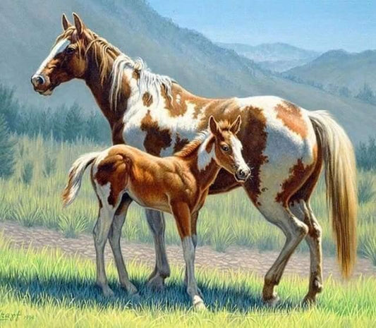 Diamond Painting Cavallo e Puledro - Diamond Painting Italia