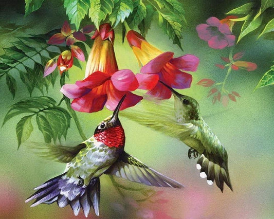 Diamond Painting Colibris and their flowers - Diamond Painting Italia
