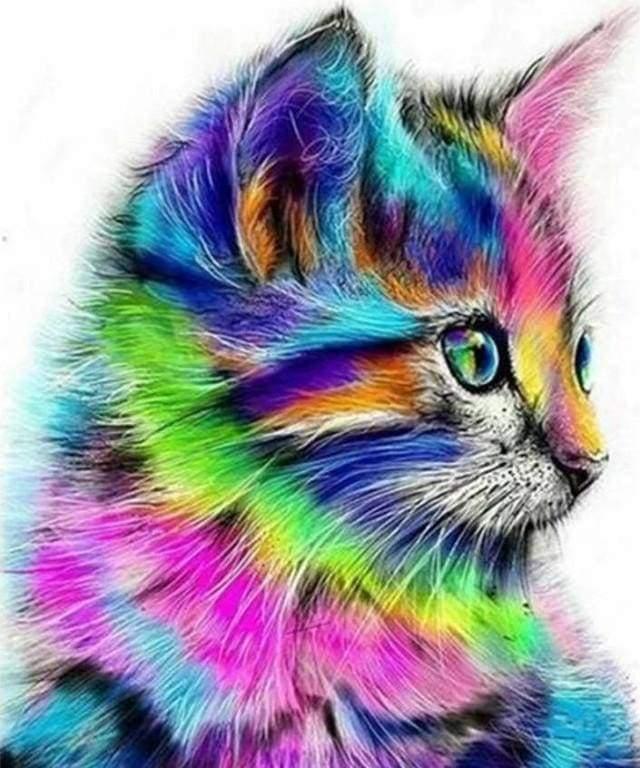 Diamond Painting Colorful Kitten - Diamond Painting Italia