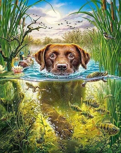 Diamond Painting Dog in the stream - Diamond Painting Italia