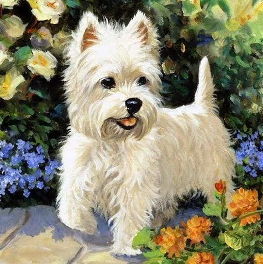 Diamond Painting Dog Westie - Diamond Painting Italia