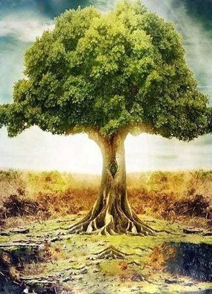 Diamond Painting - Majestic tree - Diamond Painting Italia