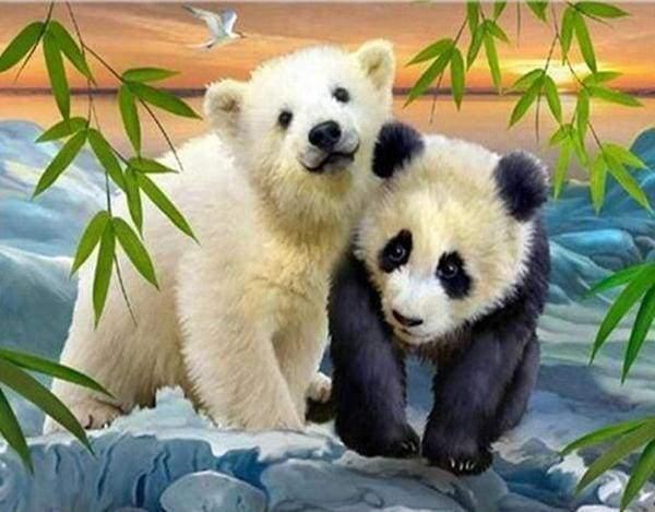 Diamond Painting - Orso e Panda - Diamond Painting Italia
