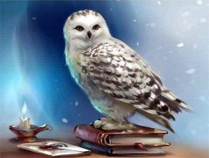 Diamond Painting - Owl and Book - Diamond Painting Italia