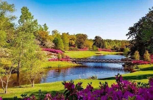 Diamond Painting Paesaggio - Diamond Painting Italia