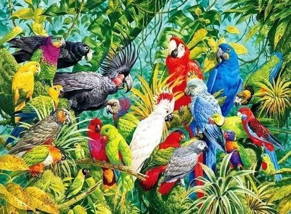Diamond Painting - Parrots - Diamond Painting Italia