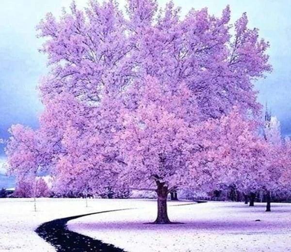 Diamond Painting - Pink Tree in the Snow - Diamond Painting Italia
