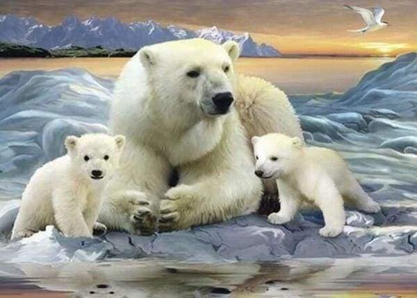 Diamond Painting - Polar Bears - Diamond Painting Italia